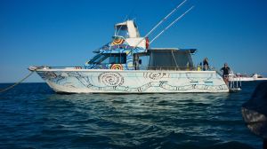 ningaloo reef dreaming boat