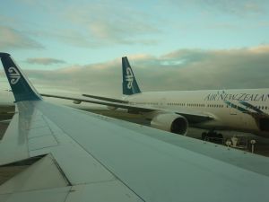 © Stephanie Glaser 2010