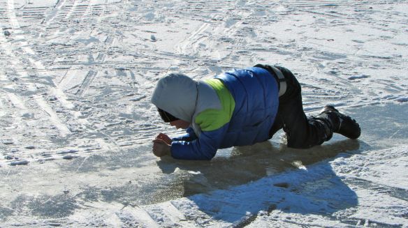 © Stephanie Glaser