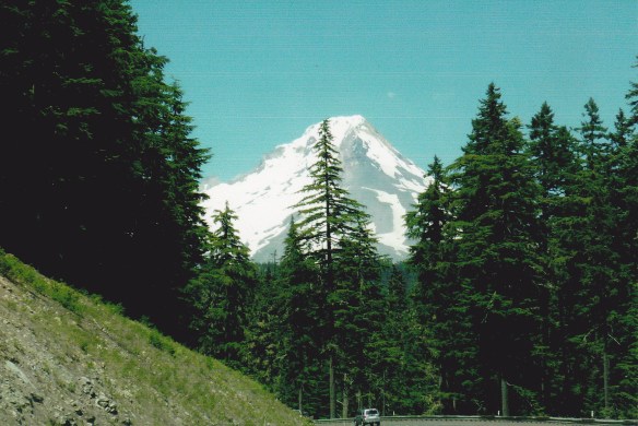 © Stephanie Glaser 2011