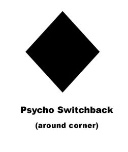 Psycho Switchback