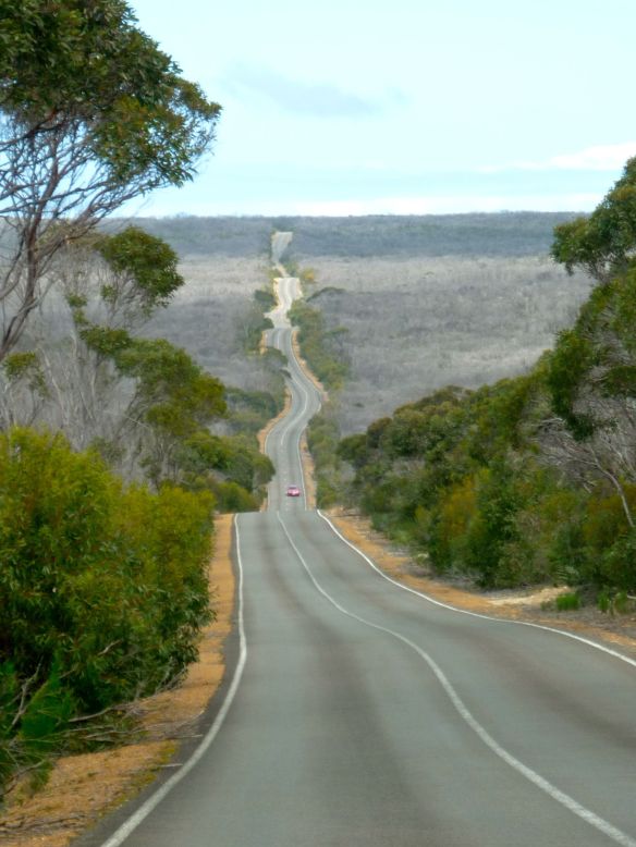 © Stephanie Glaser 2010