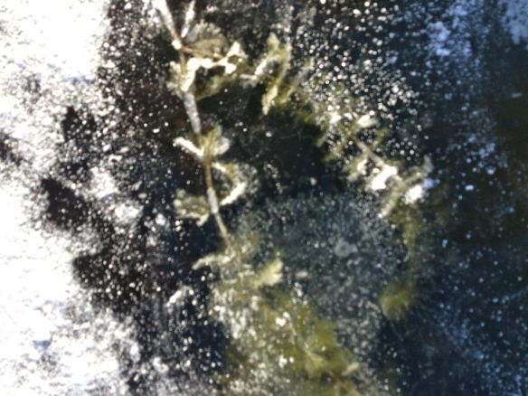 © Stephanie Glaser