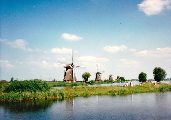 © Stephanie Glaser 1989