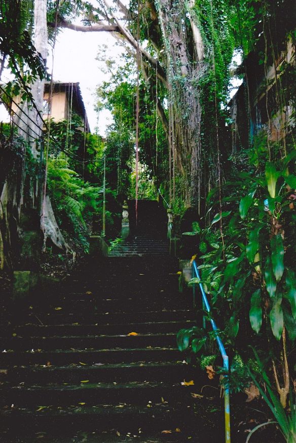 © Stephanie Glaser