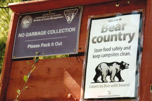 © Stephanie Glaser