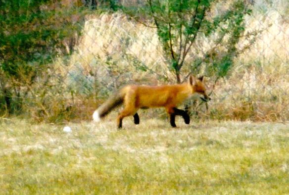 © Stephanie Glaser