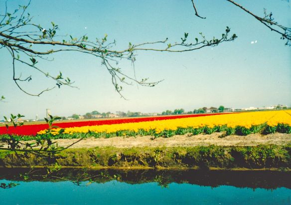 © Stephanie Glaser