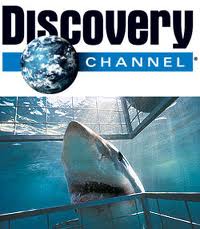 from: www.examiner.com