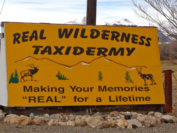 © Stephanie Glaser