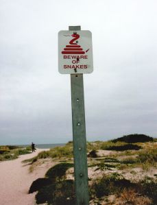 © Stephanie Glaser 2010