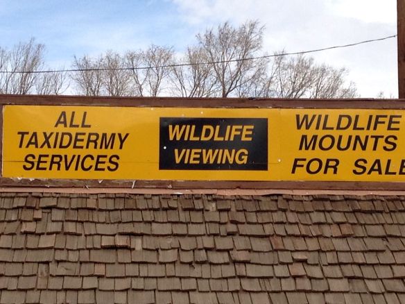 © Stephanie Glaser 2013