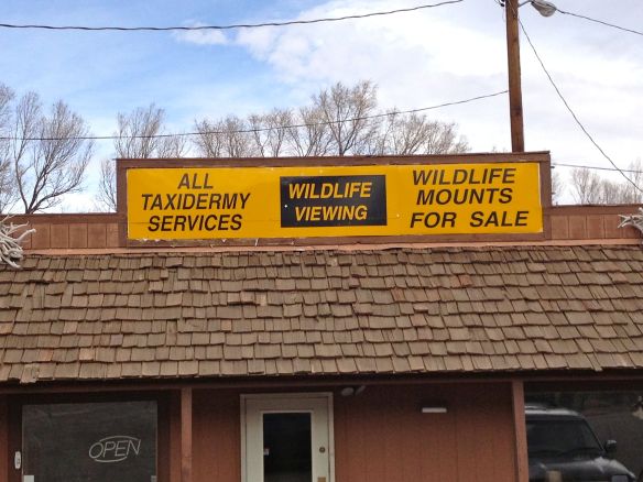 © Stephanie Glaser 2013