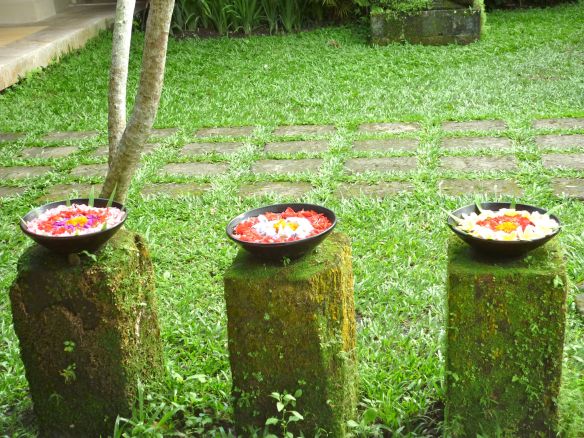 © Stephanie Glaser 2010