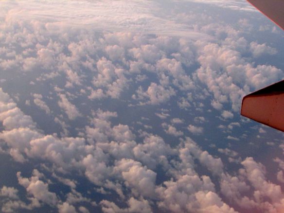 © Stephanie Glaser 2013