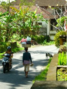 © Stephanie Glaser 2010