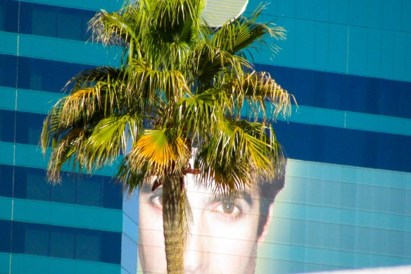 © Stephanie Glaser 2013