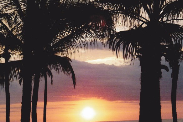 © Stephanie Glaser 2011