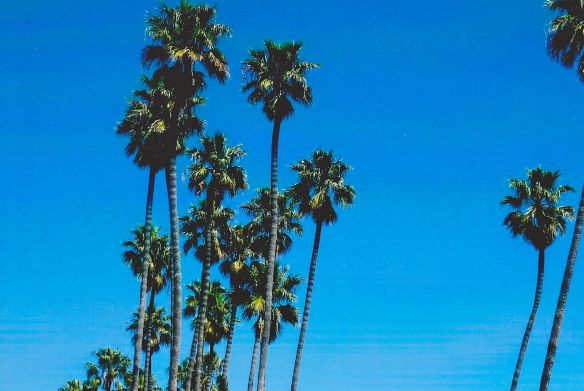 © Stephanie Glaser