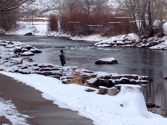 © Stephanie Glaser 2013