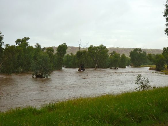 © Stephanie Glaesr 2010