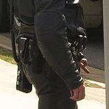 449px-SA_police_force