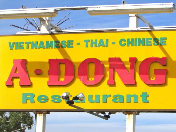 © Stephanie Glaser 2013