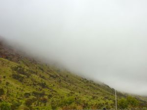 © Stephanie Glaser 2010