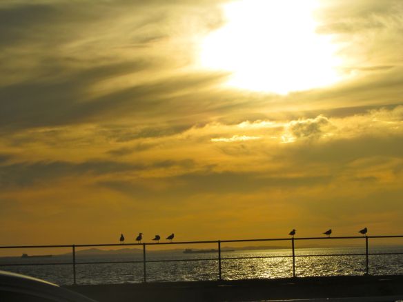 © Stephanie Glaser 2013