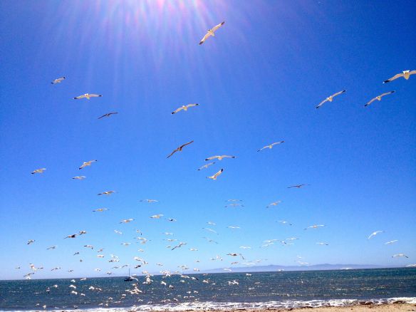 © Stephanie Glaser 2013