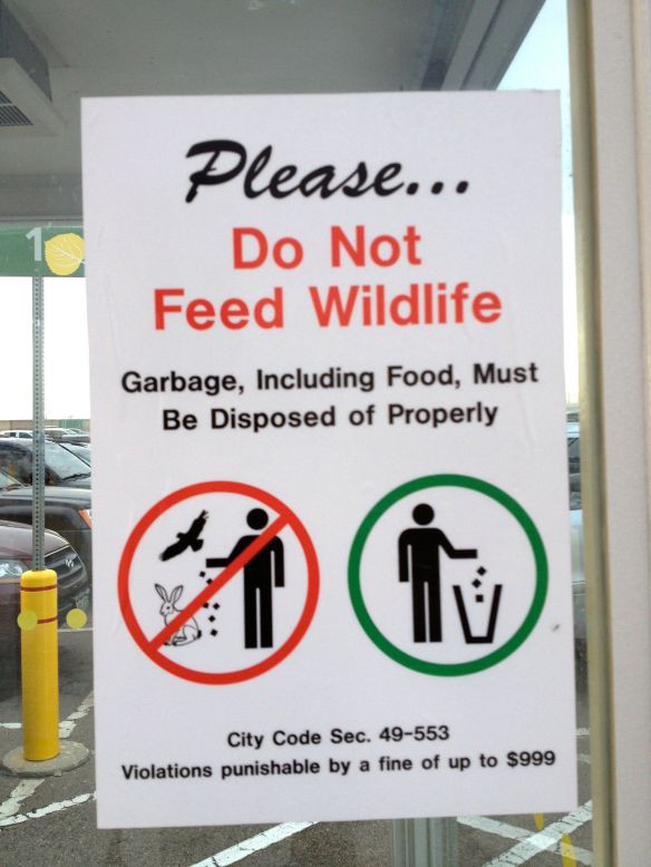 © Stephanie Glaser