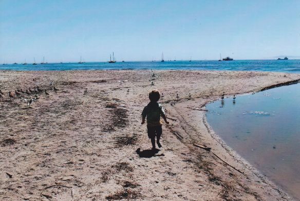 © Stephanie Glaser 2008