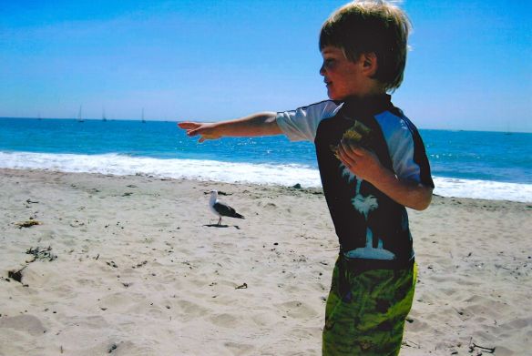 © Stephanie Glaser 2009