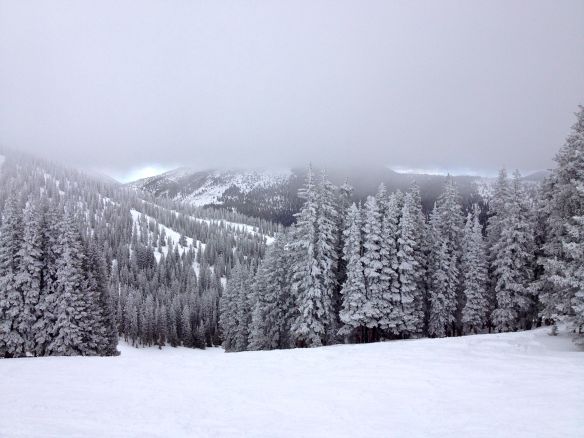 © Stephanie Glaser 2012