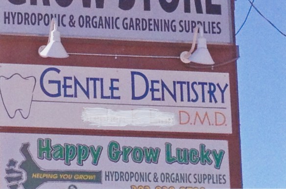 © Stephanie Glaser 2012