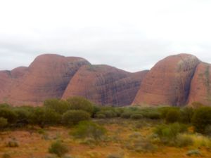 © Stephanie Glaser 2010