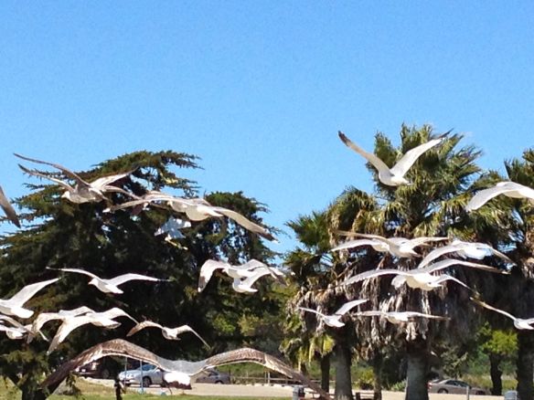 © Stephanie Glaser 2013