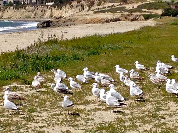 © Stephanie Glaser 2013