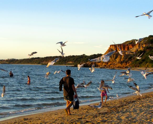 © Stephanie Glaser 2013