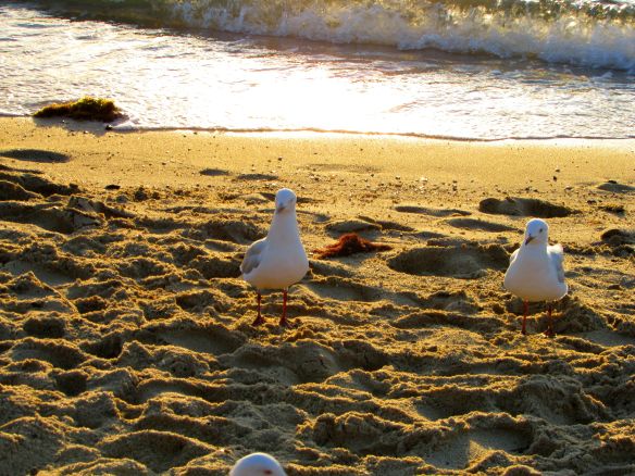 © Stephanie Glaser 