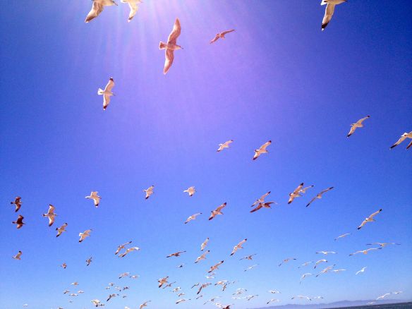 © Stephanie Glaser 2013