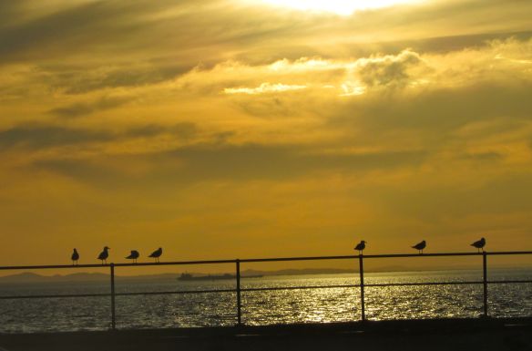 © Stephanie Glaser 2013