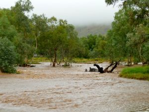 todd river raging