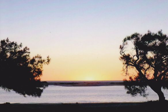 © Stephanie Glaser 2010