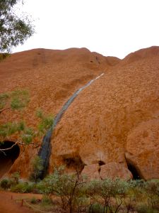 You can see where a waterfall created a path  Stephanie Glaser 2010