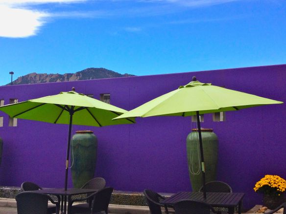 © Stephanie Glaser 2013