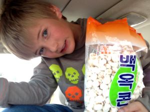 © Stephanie Glaser