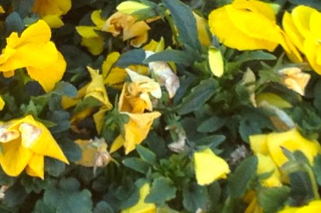 © Stephanie Glaser