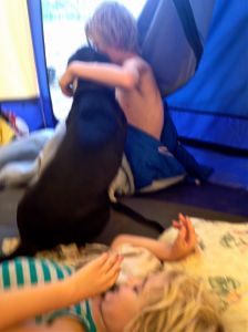 Eddie and Kasey being licked by Odie. 