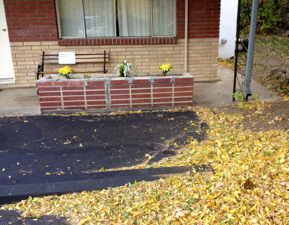 To no avail. Right across from a sign a big St. Bernard had left a message  for the owners of the hotel. 